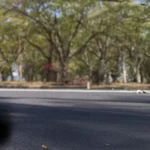 Que pasa si me chocan y se dan a la fuga